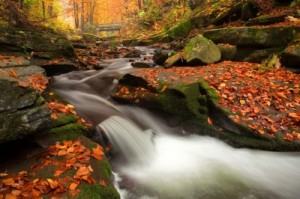 Autumn River