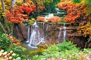 Waterfall in Spring Season