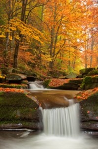 Waterfall in Autumn